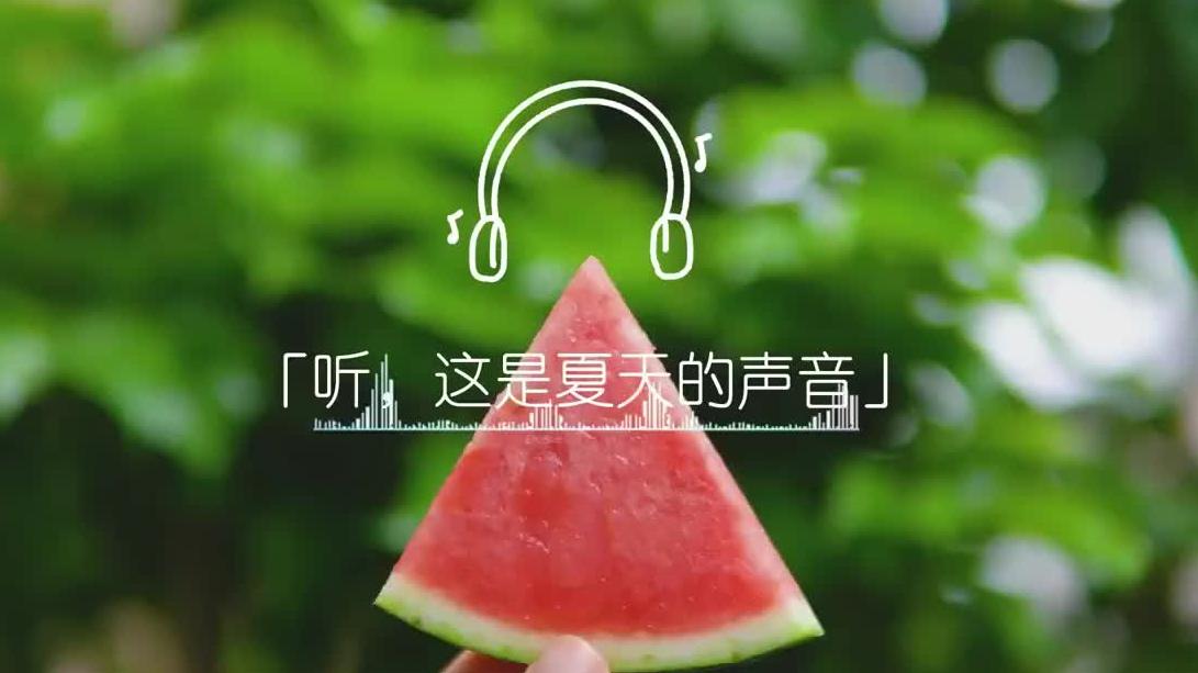 期待吗？无BGM沉浸感受夏天氛围