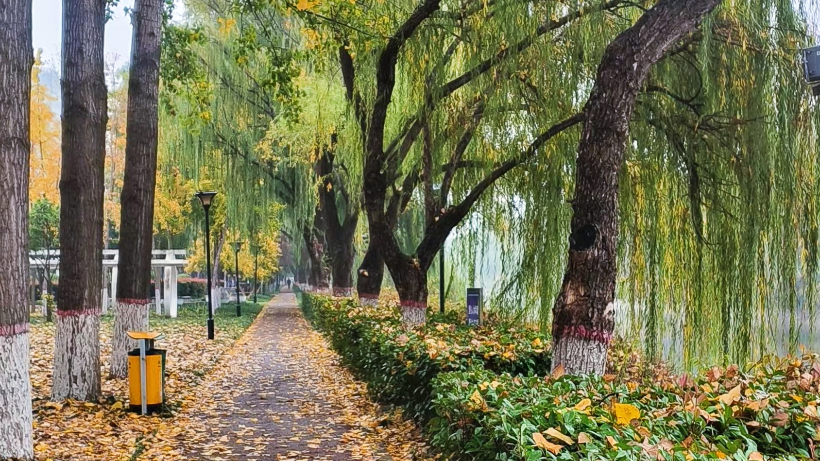 河南许昌：雨中的油画许昌