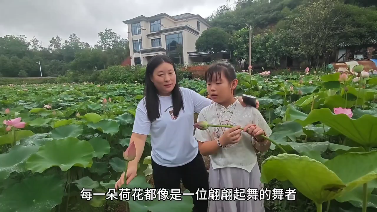 雨落荷塘韵悠长