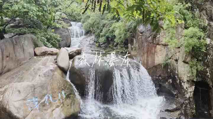 雨洗崂山，云瀑倾泻！