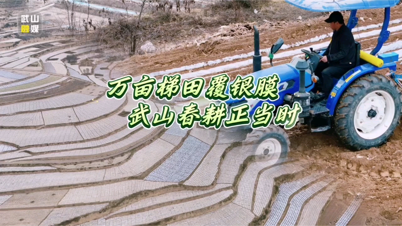 甘肃：武山春耕正当时