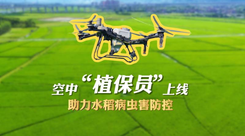 空中“植保员”上线